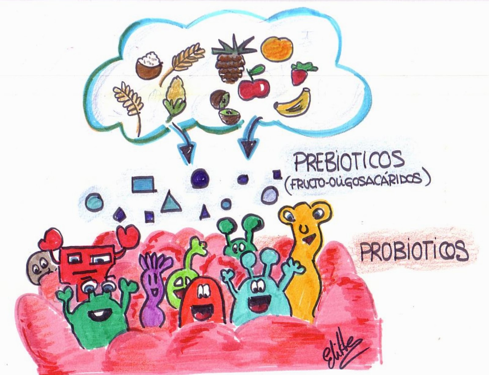 Antibioticos probioticos